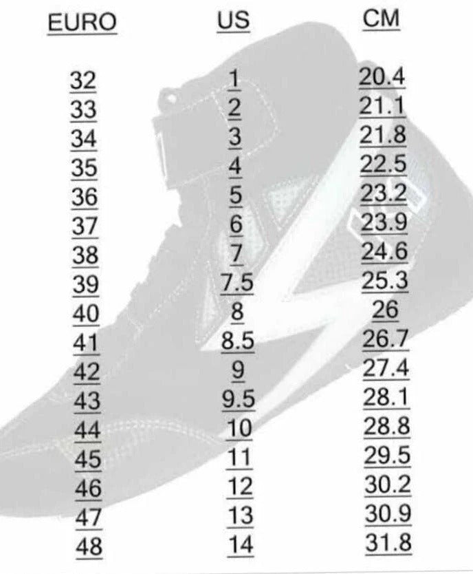 2022 Charles Leclerc F1 Racing Shoes