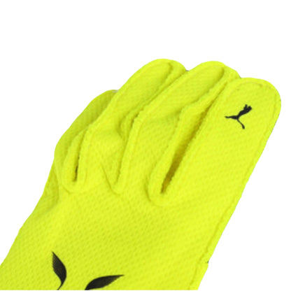 2023 Lewis Hamilton F1 Racing Gloves